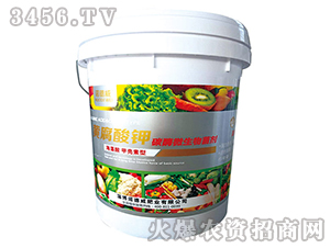 �S�����-̼ø΢�������-�Z����