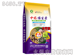 ��ˎ�S����-�_�o��-��������