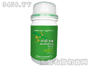 ���޼t���f����-�{(l��n)������