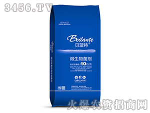 ΢���������10�|/�ˣ�-ؐ�{��-�{������