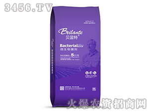 ΢�������-ؐ�{��-�{������