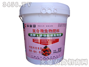 ��(f��)��΢�������-�Aϲ��-���A