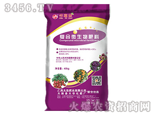 ���w��(f��)��΢�������-�Aϲ��-���A