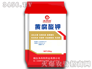 �S�����-�嵤�(y��ng)