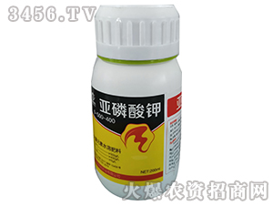 200ml�������-�嵤�