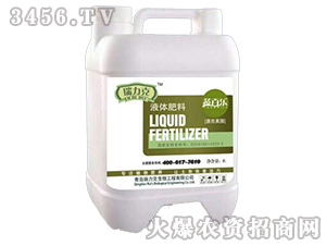 Һ�w����-������-���ϸ�