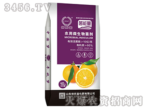 �r��΢�������-���ʌ���-���ϸ�