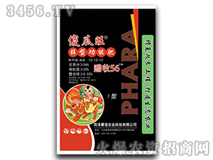 �\�͹��ܷ�12-12-12-ɵ����-ِ�Z�r(n��ng)�I(y��)