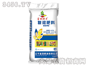 ������͏�(f��)�����13-17-15-�������-����ʘI(y��)