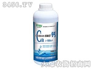 �W�x���}-�r�r(n��ng)��(gu��)�H