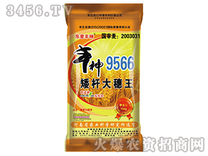 �S��9566-���U������-�|���S��