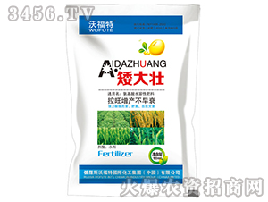 �����-�ָ���-�|���r(n��ng)�I(y��)