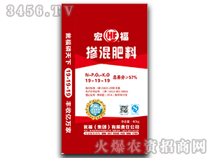 �ߝ�ȓ����19-19-19-�긣-�Y�����F(tu��n)