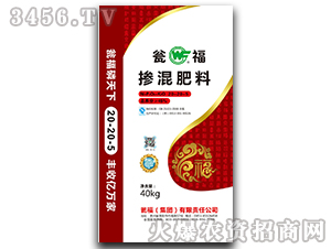 �ߝ�ȓ����20-20-5-�Y�����F