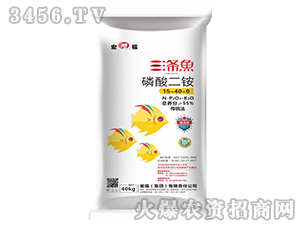 ������@-���l�~-�Y�����F(tu��n)