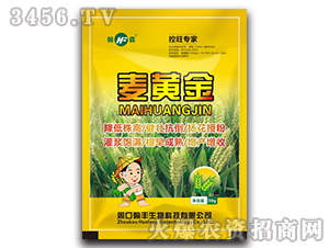 ��������-���S��-���S����