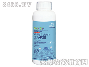 �������}ͪ(200ml��1000ml)-��(l��)��˹-�Θ�(l��)�ʘI(y��)