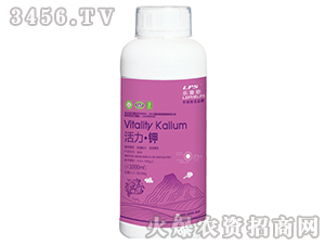 �������(200ml��1000ml)-��(l��)��˹-�Θ�(l��)�ʘI(y��)