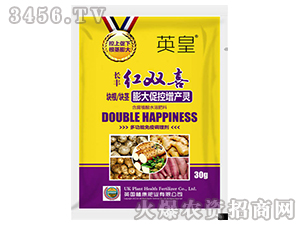 �K�����o���ٿ����a(ch��n)�`-�t�pϲ-�L(zh��ng)�S