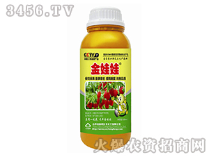 ���ƿ2-������-�L(zh��ng)�S