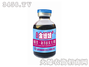 ���o���K�o�޴���-������-�L(zh��ng)�S