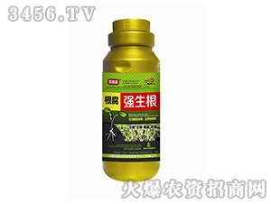 ������(qi��ng)����-�G�ٲ�-�L(zh��ng)�S