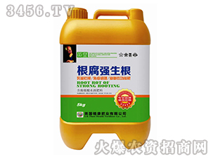 ������(qi��ng)����-Ӣ��-�L(zh��ng)�S