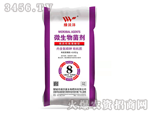 ΢�������-�G�֞�-���ּ�