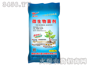 �߻���΢�������-�G�֞�-���ּ�