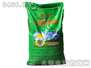 �����ЙC(j��)��-����-��������