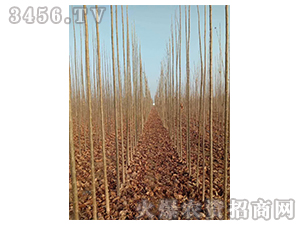 2020��鱘�ӆ�λ����(xi��ng)Ŀ16