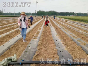 2020��鱘�ӆ�λ����(xi��ng)Ŀ12