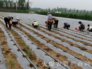 2020��鱘�ӆ�λ����(xi��ng)Ŀ11