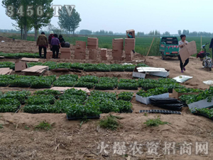 2020��鱘�ӆ�λ����(xi��ng)Ŀ10