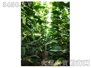 2020��鱘�ӆ�λ����(xi��ng)Ŀ6