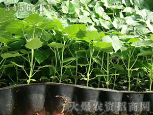 2020��鱘�ӆ�λ����(xi��ng)Ŀ4