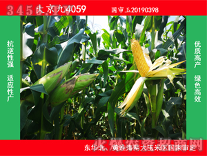 �󾩾�4059-���׷N��-�󾩾�