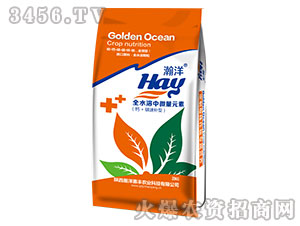 ȫˮ����΢��Ԫ��-���