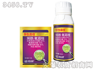 ϩ������˪��-�A��˪��-��Ʒ����