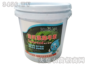 ���~�徫�A��-�{����-���u�{��