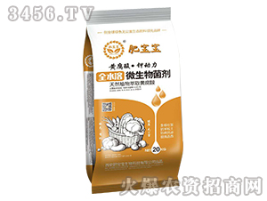 ȫˮ��΢����������S����-�S���ᡤ⛄�(d��ng)��-�ʌ���