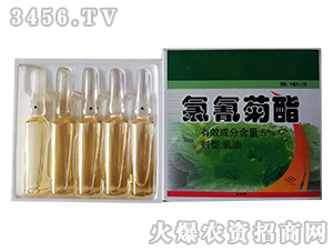 ������������Q�ػ����x��-�����r�I(y��)