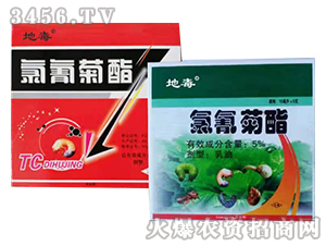 5%�������-�ض�-�����r�I(y��)