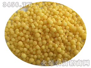 �����@�}+��-ֲ����