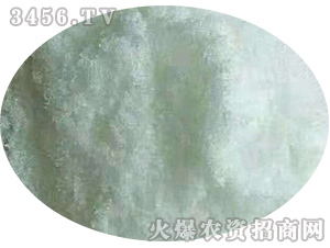 ���w�����V-ֲ����