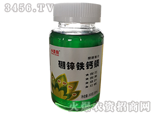 ���\�F�}�V-����