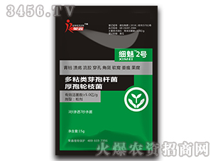 ��ճ�ѿ�ߗU��������݆֦��-��(x��)��2̖(h��o)-�s��