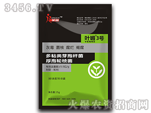 ��ճ�ѿ�ߗU��������݆֦��-�~��3̖(h��o)-�s��