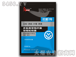 ��ճ�ѿ�ߗU��������݆֦��-�~��2̖(h��o)-�s��