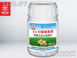 ���������ڹ���-�ȿ�֮��